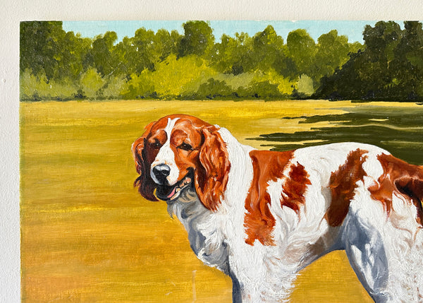 Welsh Spaniel Pet Portrait