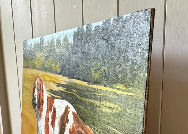 Welsh Spaniel Pet Portrait