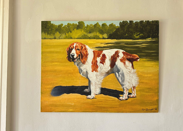 Welsh Spaniel Pet Portrait