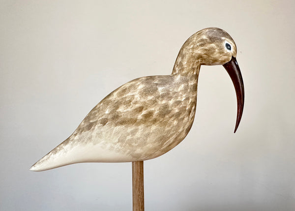 Hand Carved Curlew