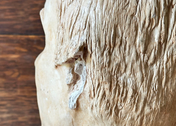 Contemporary Clay Bust Sculpture