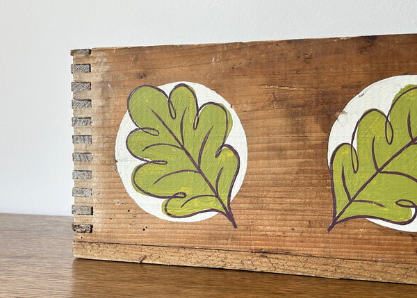 Hand Painted Wooden Seed Box