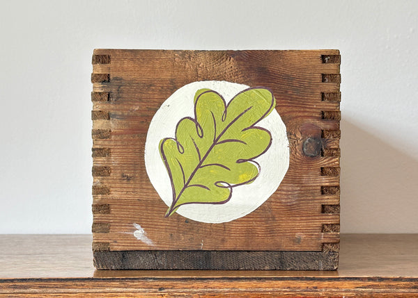 Hand Painted Wooden Seed Box