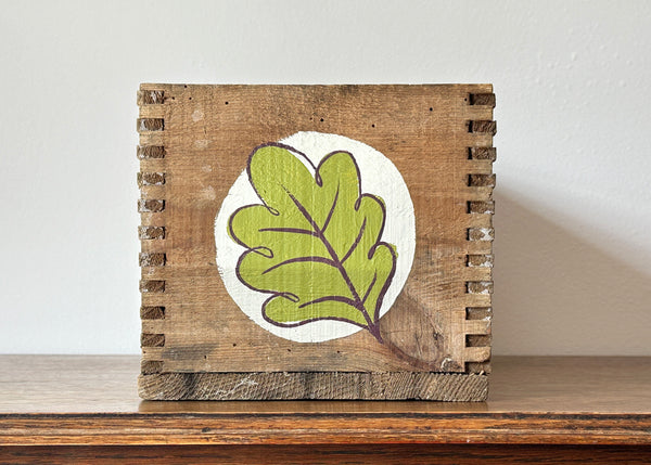 Hand Painted Wooden Seed Box