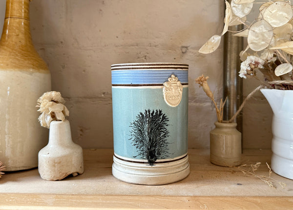 Mochaware PINT Mug, 1840s
