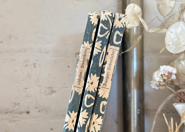 x3 Hand Printed German Books
