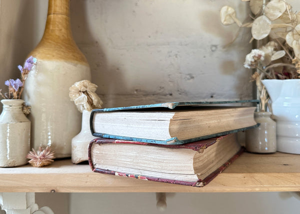 Pair of French Hardback Books