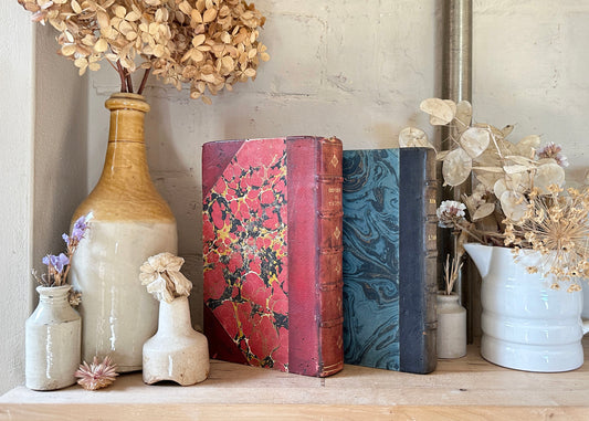 Pair of French Hardback Books