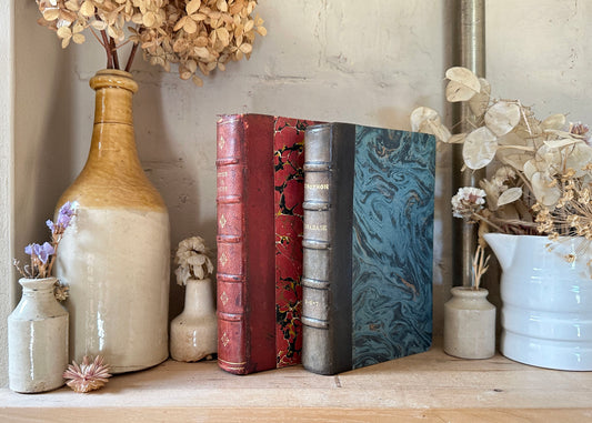 Pair of French Hardback Books