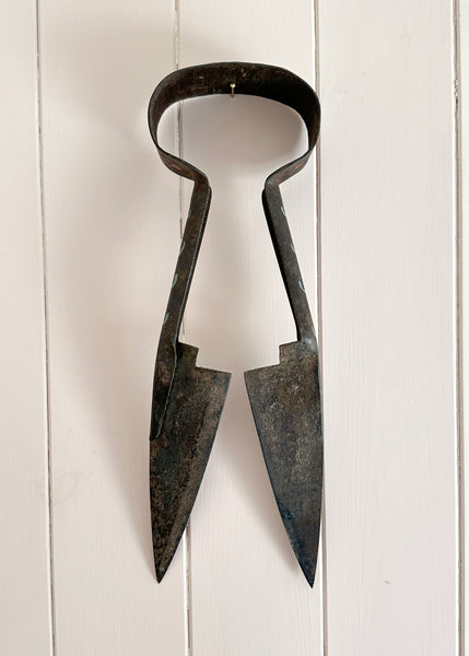 Painted Red Poppies Metal Shears