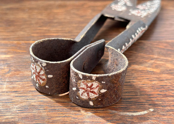 Hand Painted Shears