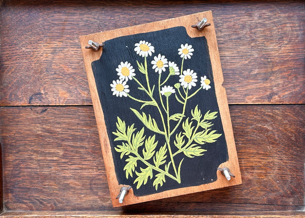 Painted Wooden Flower Press - White Daisies