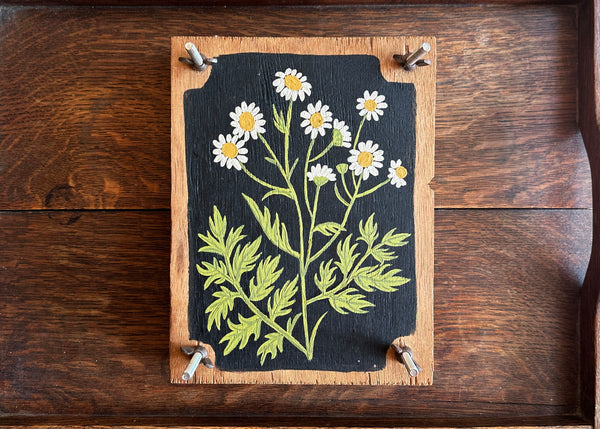 Painted Wooden Flower Press - White Daisies
