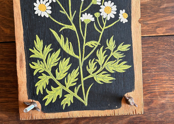 Painted Wooden Flower Press - White Daisies