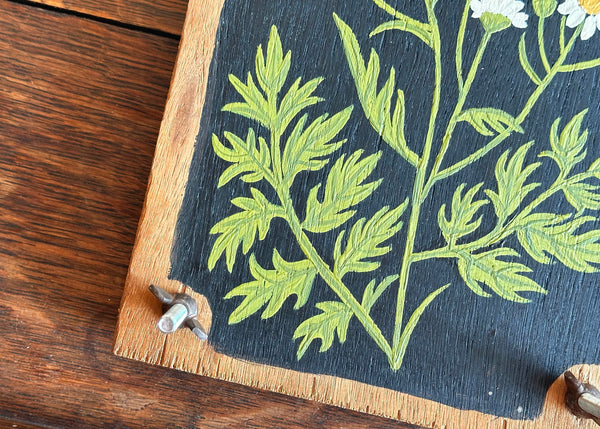 Painted Wooden Flower Press - White Daisies