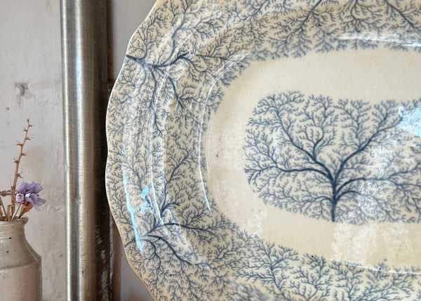 Seaweed Pattern Platter