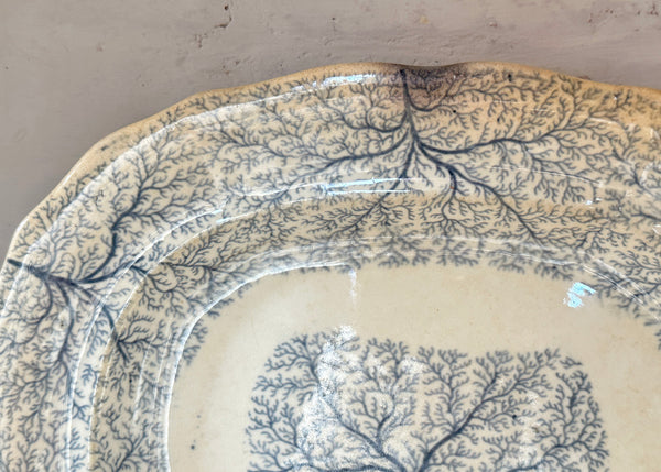 Seaweed Pattern Platter