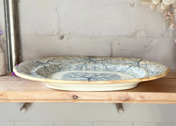 Seaweed Pattern Platter