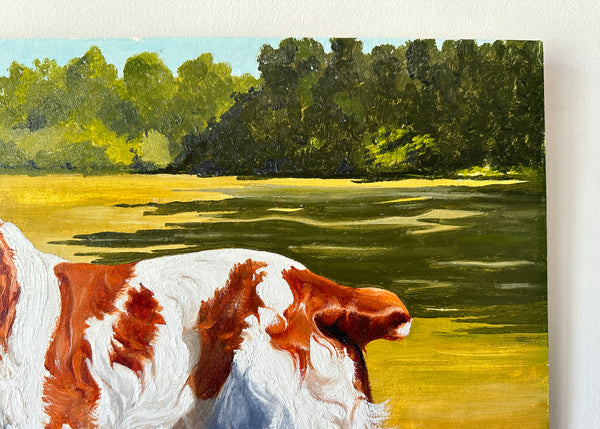 Welsh Spaniel Pet Portrait