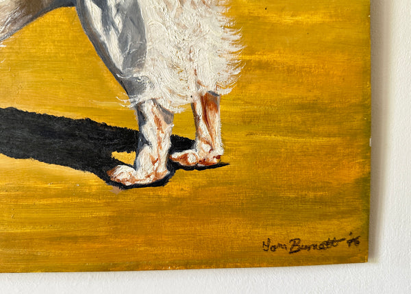 Welsh Spaniel Pet Portrait