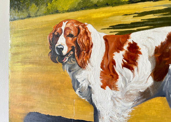 Welsh Spaniel Pet Portrait