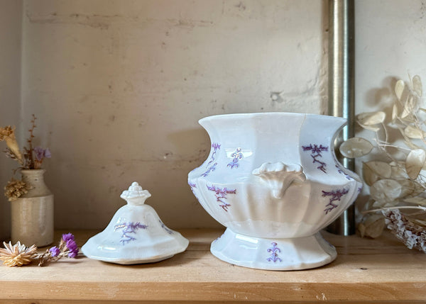 Sugar Pot & Creamer- Adderly Chelsea