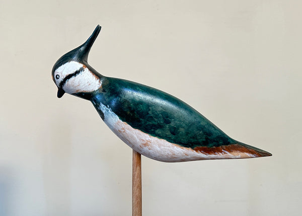 Hand Carved Lapwing