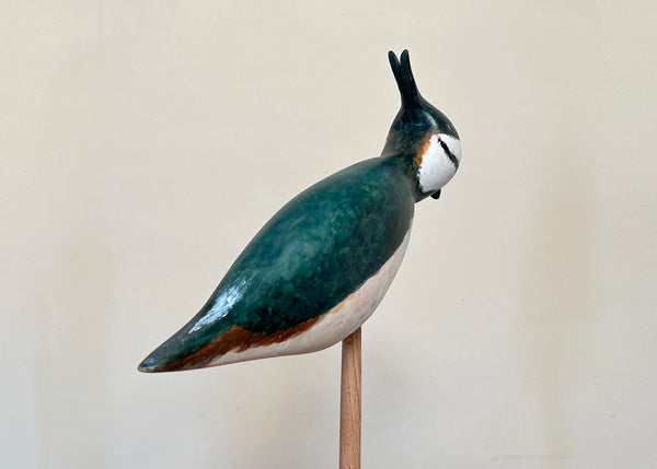 Hand Carved Lapwing