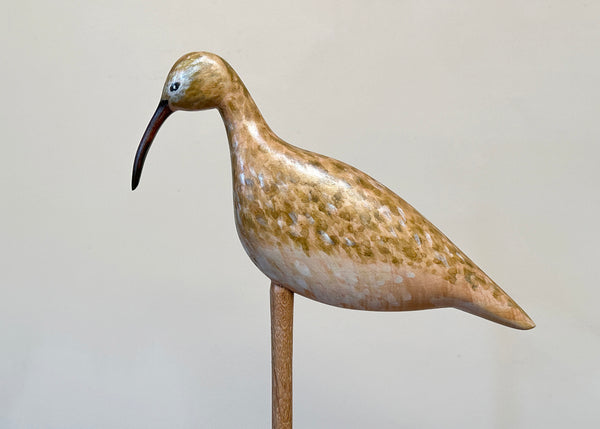 Hand Carved Curlew