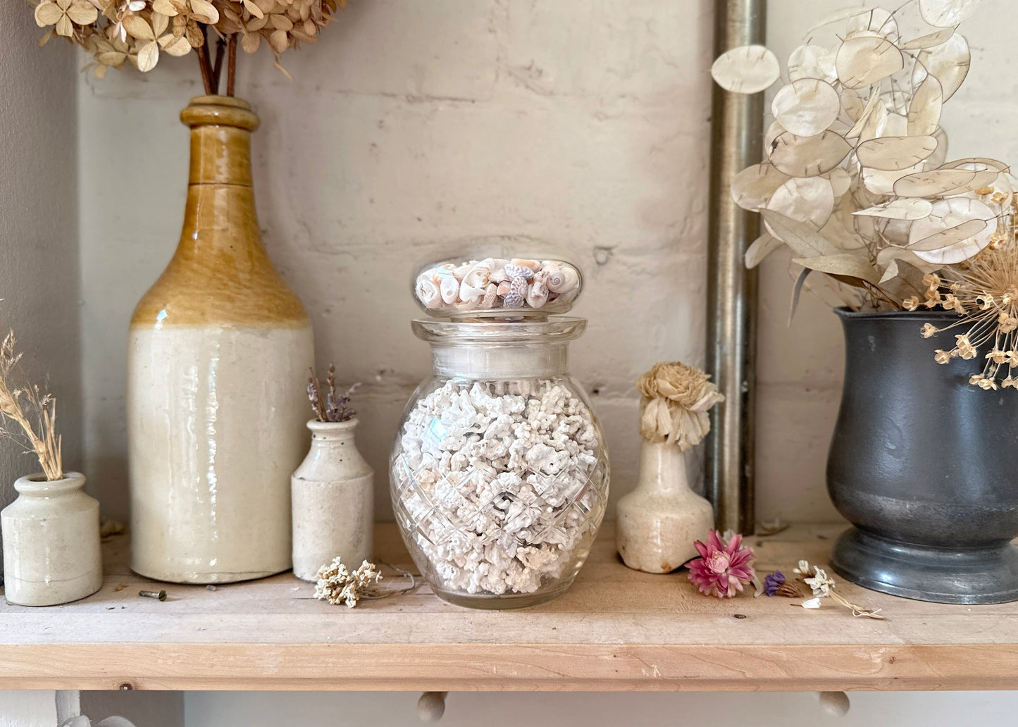 Jar of Coral & Shells