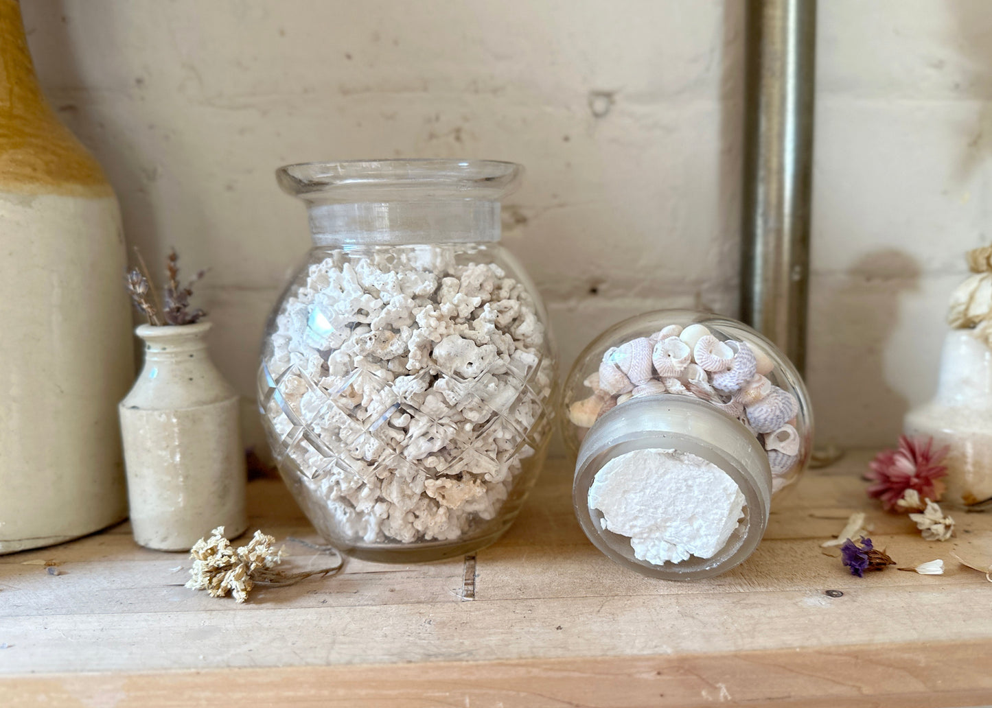 Jar of Coral & Shells