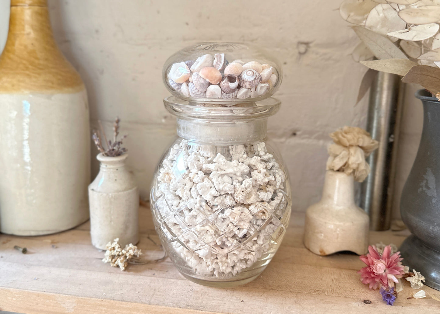 Jar of Coral & Shells