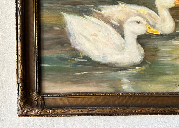 Swimming Ducks Oil Painting