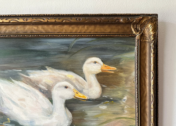 Swimming Ducks Oil Painting