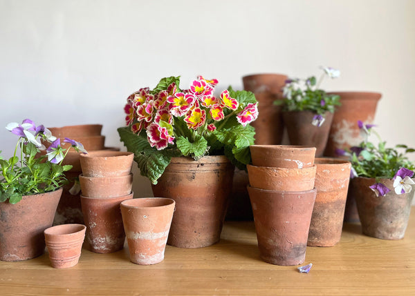 Gold Cottage Garden Mystery Gift Box