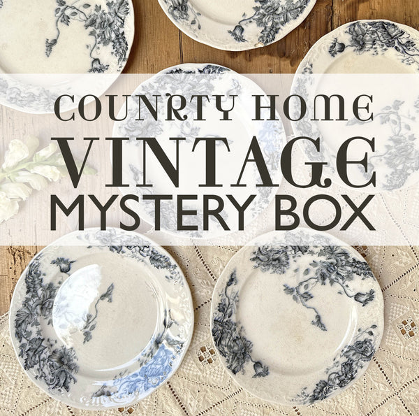 Silver Country Home Mystery Gift Box