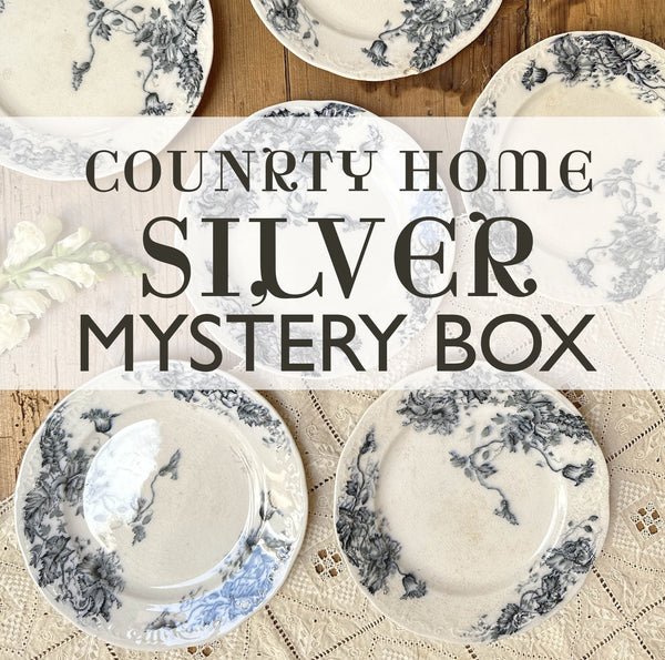 Silver Country Home Mystery Gift Box