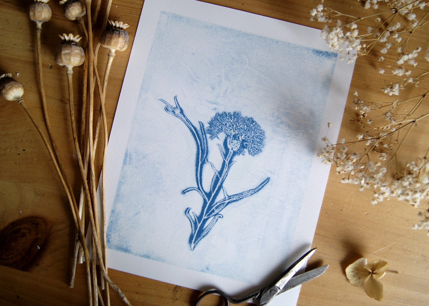 Pressed Wild Cornflower Relief Print