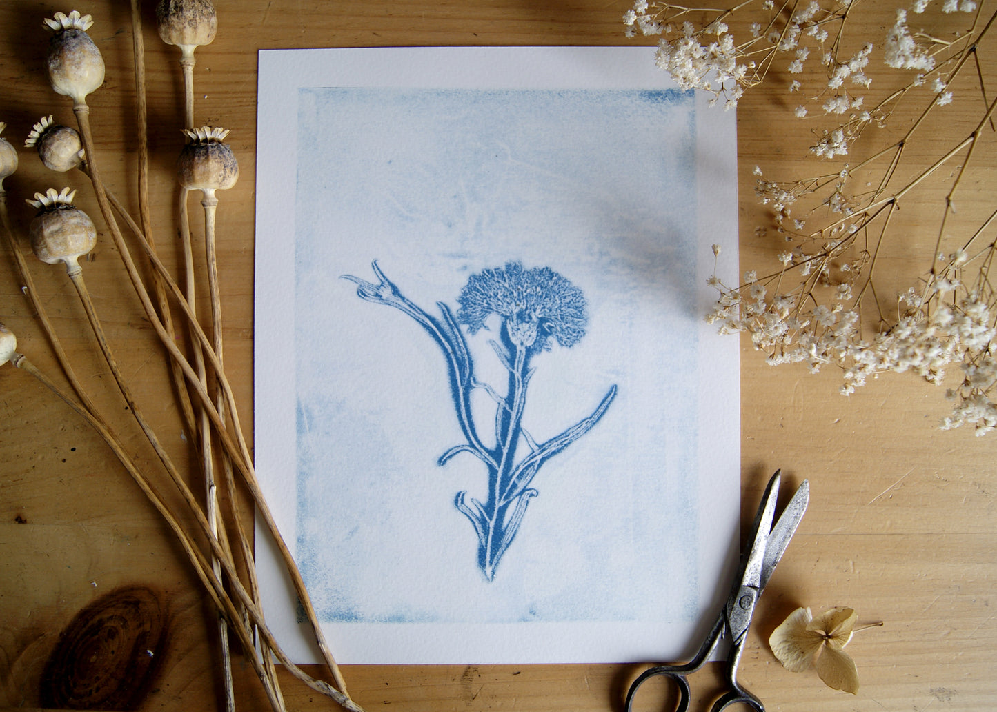 Pressed Wild Cornflower Relief Print