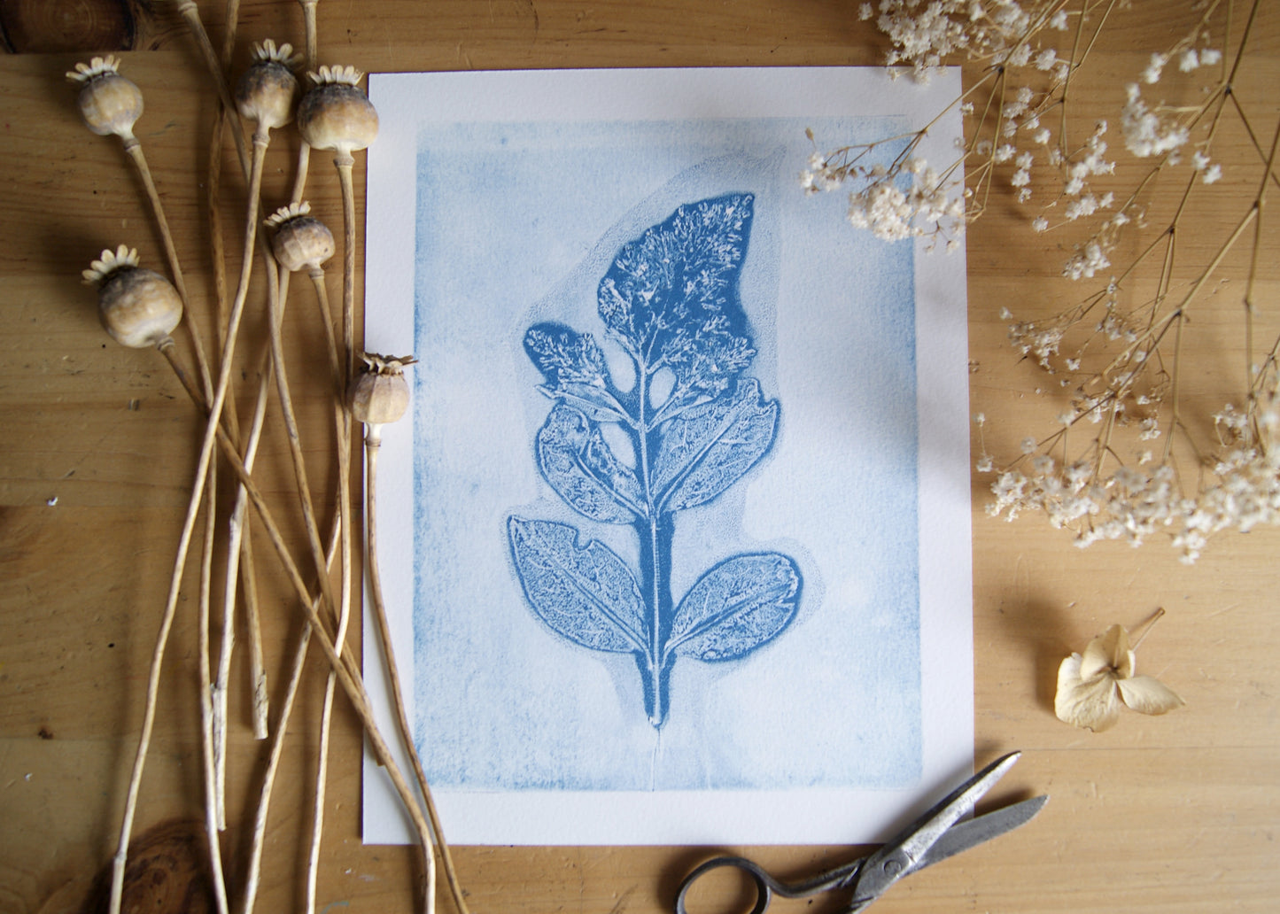 Pressed Privet Blossom Relief Print