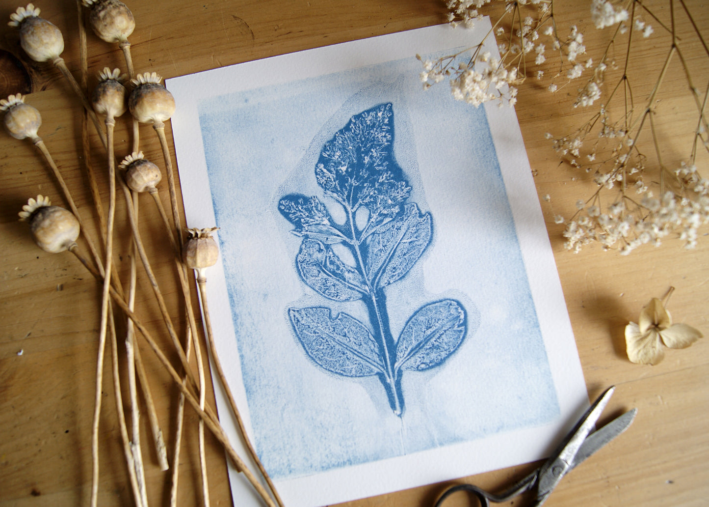 Pressed Privet Blossom Relief Print