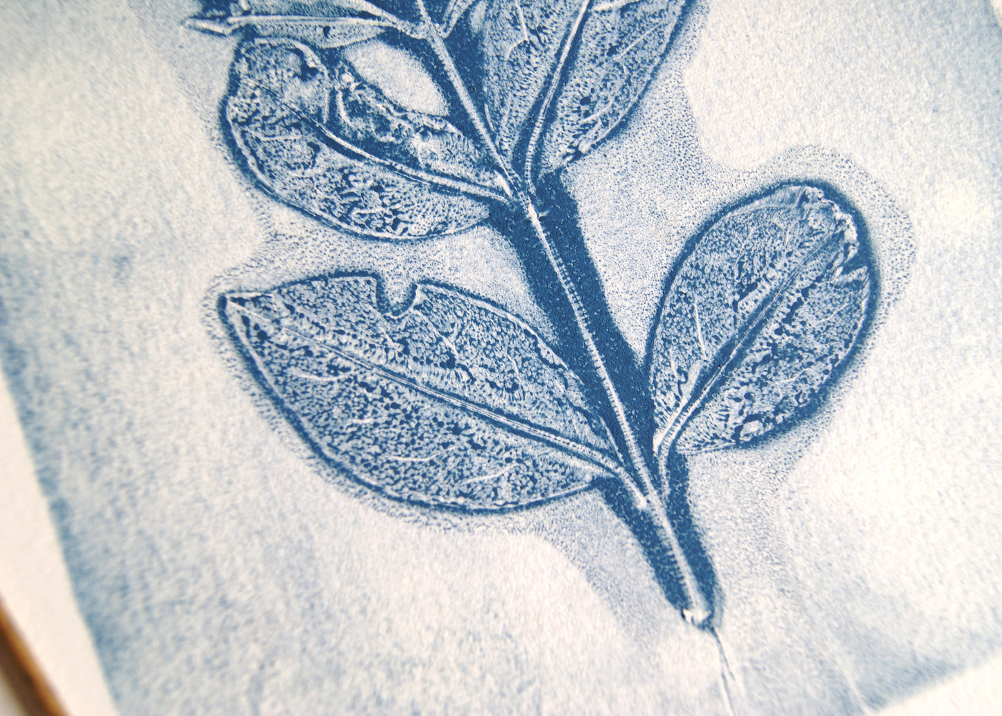 Pressed Privet Blossom Relief Print