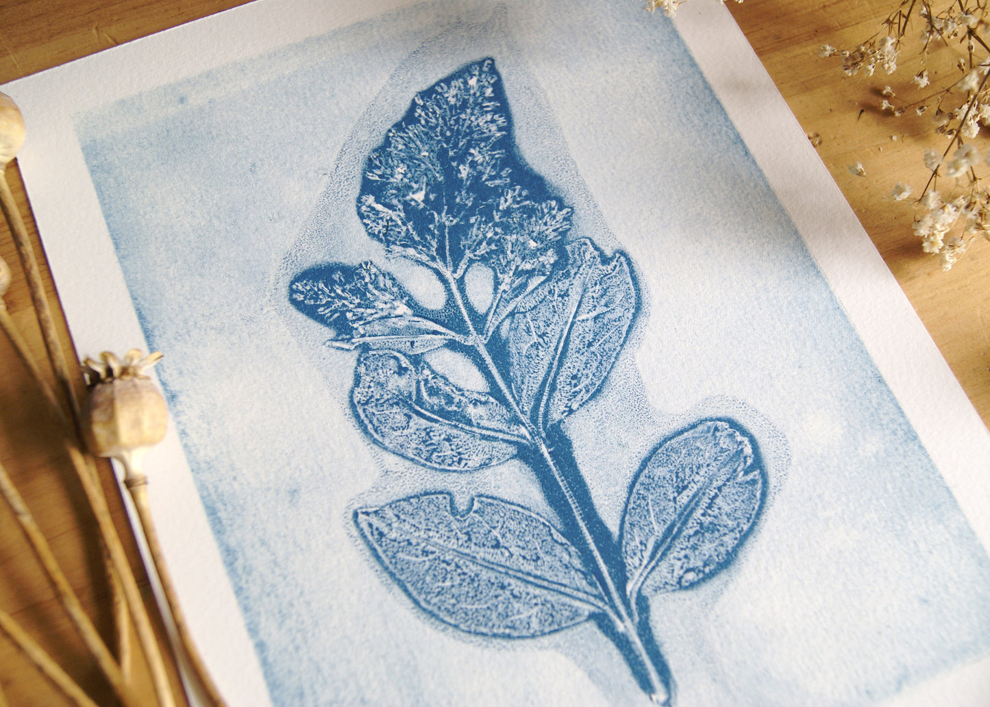 Pressed Privet Blossom Relief Print