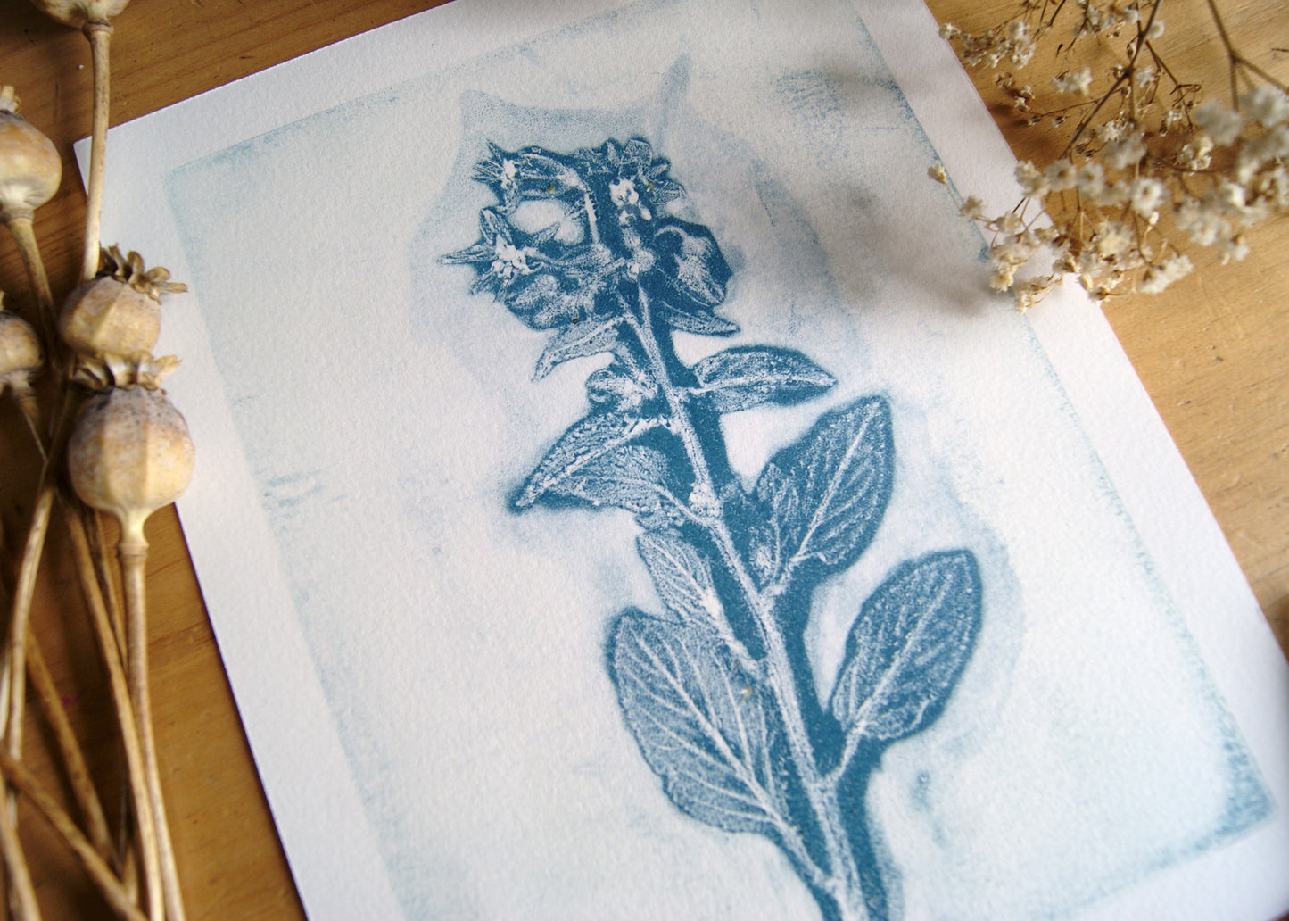 Pressed Wild Borage Relief Print