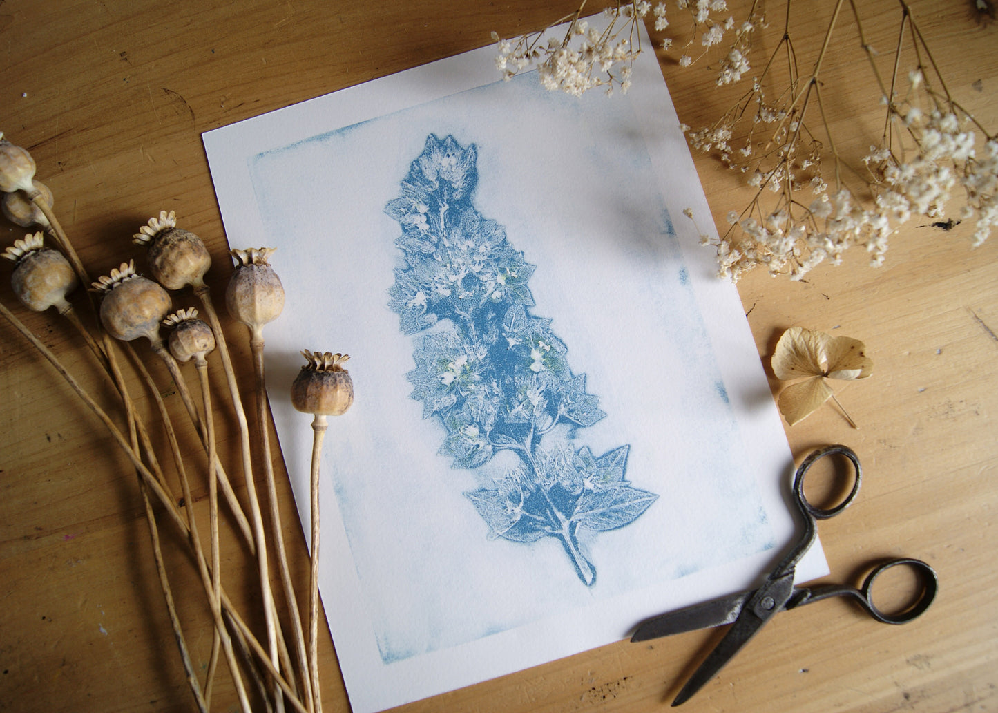 Pressed Loosestrife Relief Print