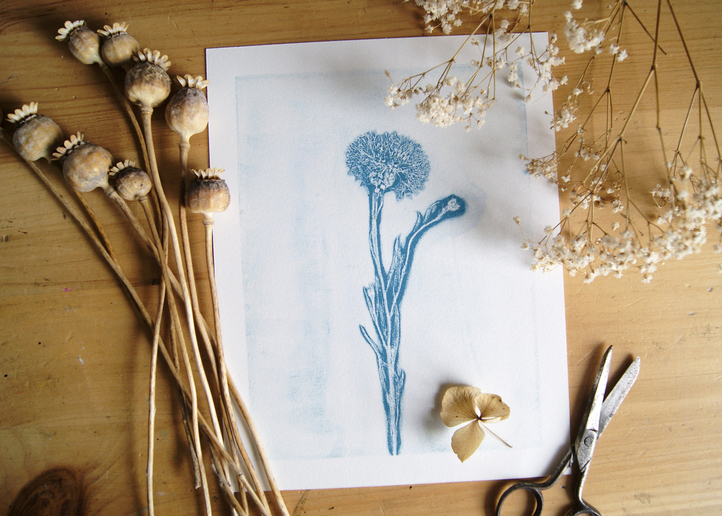 Pressed Wild Cornflower Relief Print