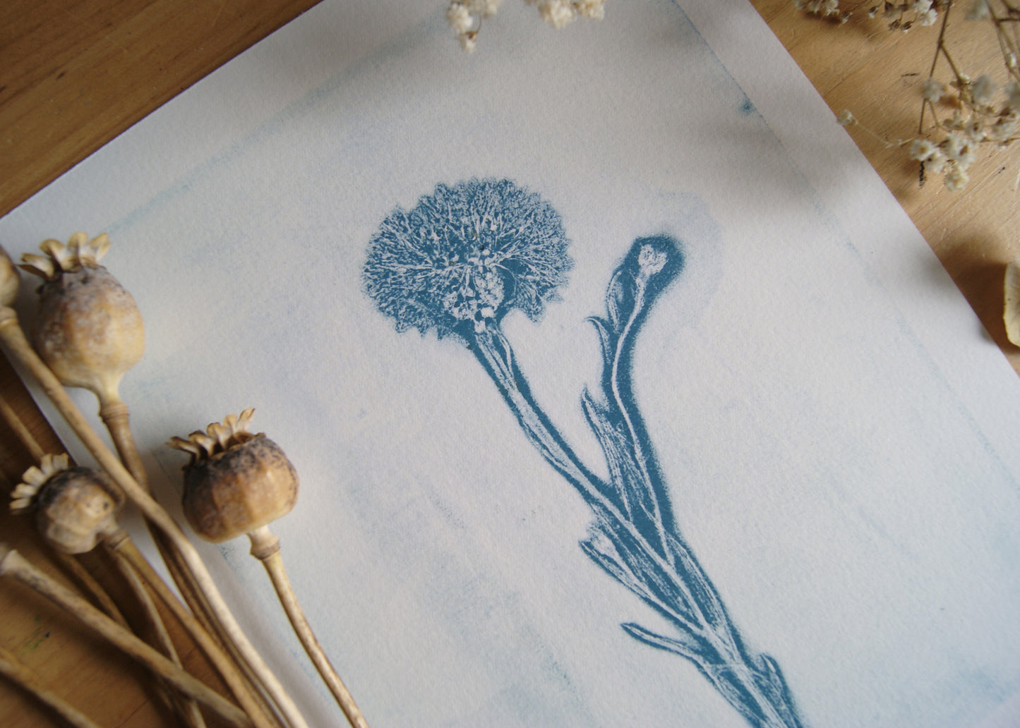 Pressed Wild Cornflower Relief Print