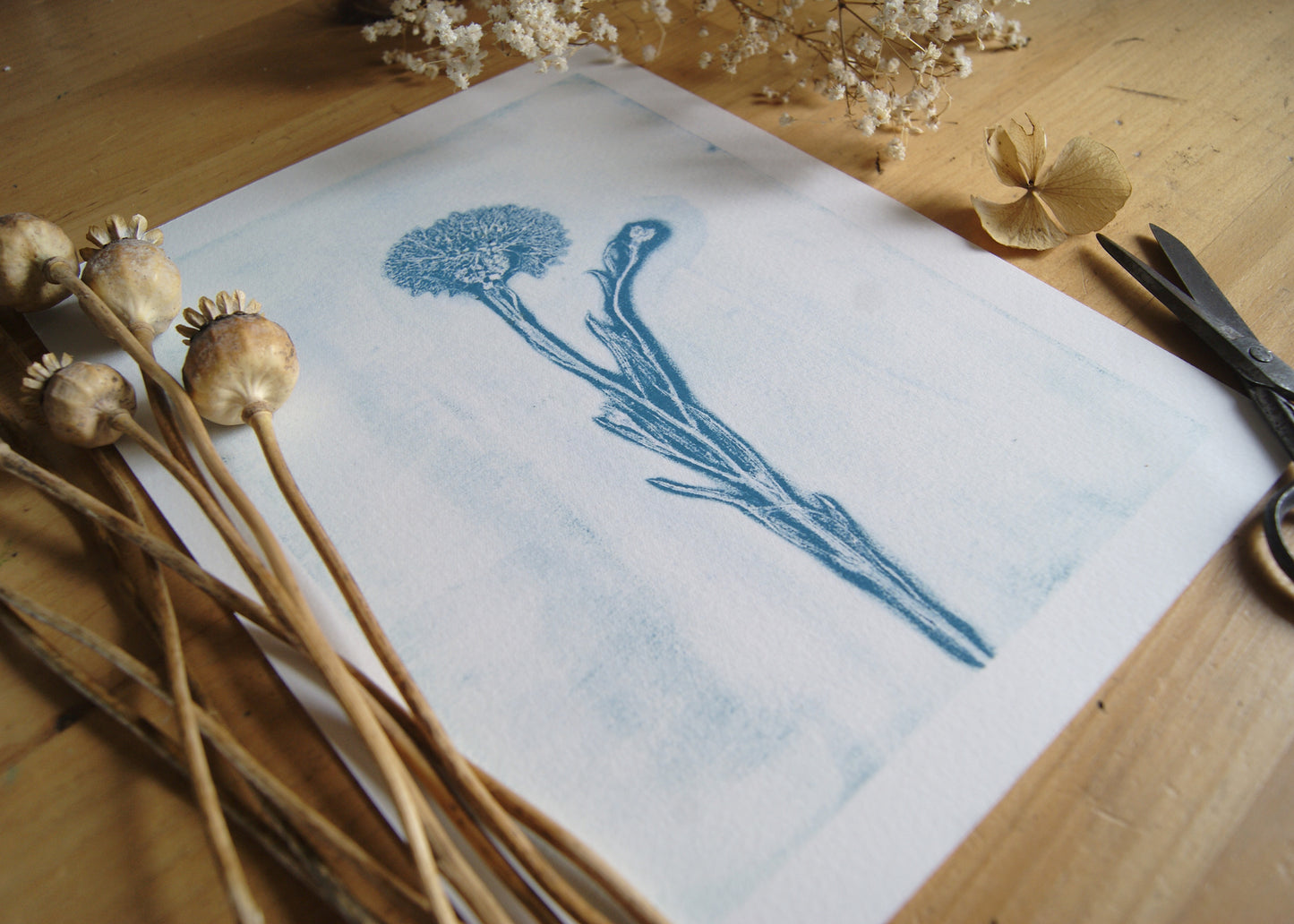 Pressed Wild Cornflower Relief Print