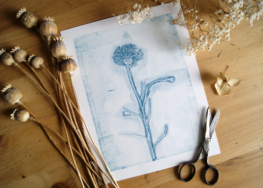 Pressed Wild Cornflower Relief Print