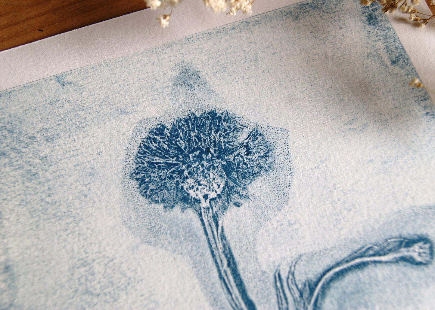 Pressed Wild Cornflower Relief Print